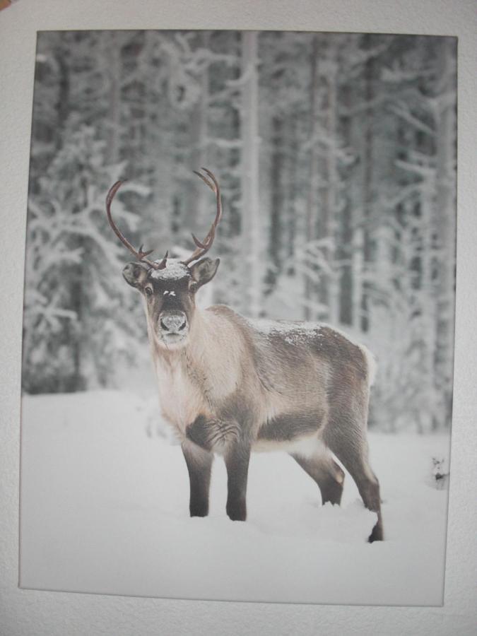 Chalet Le Bayamont 3* Gerardmer Luaran gambar